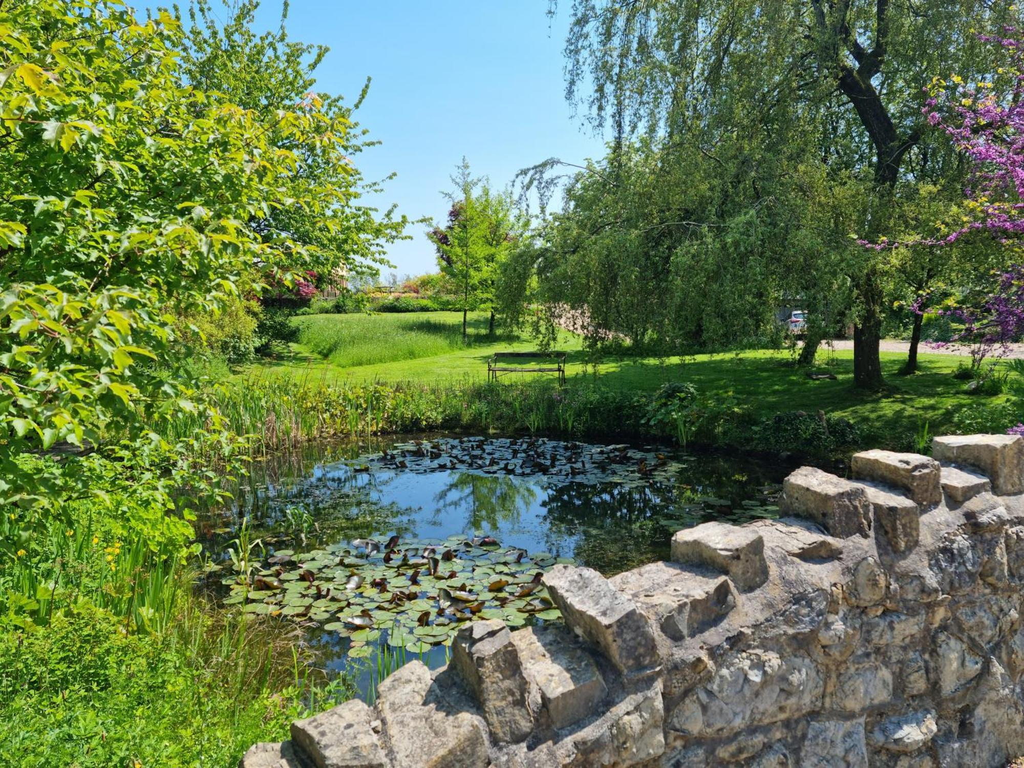 Гостевой дом Glyndwr Vineyard