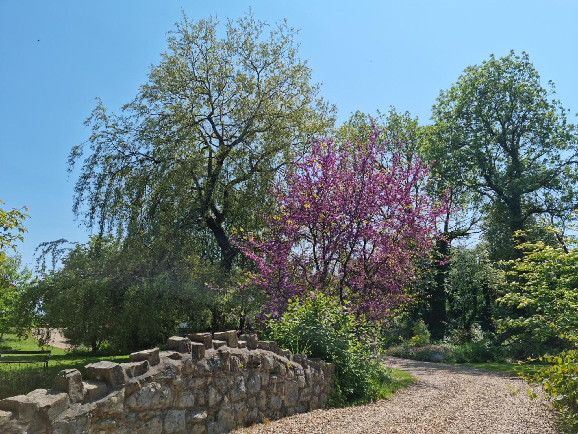 Glyndwr Vineyard Каубридж