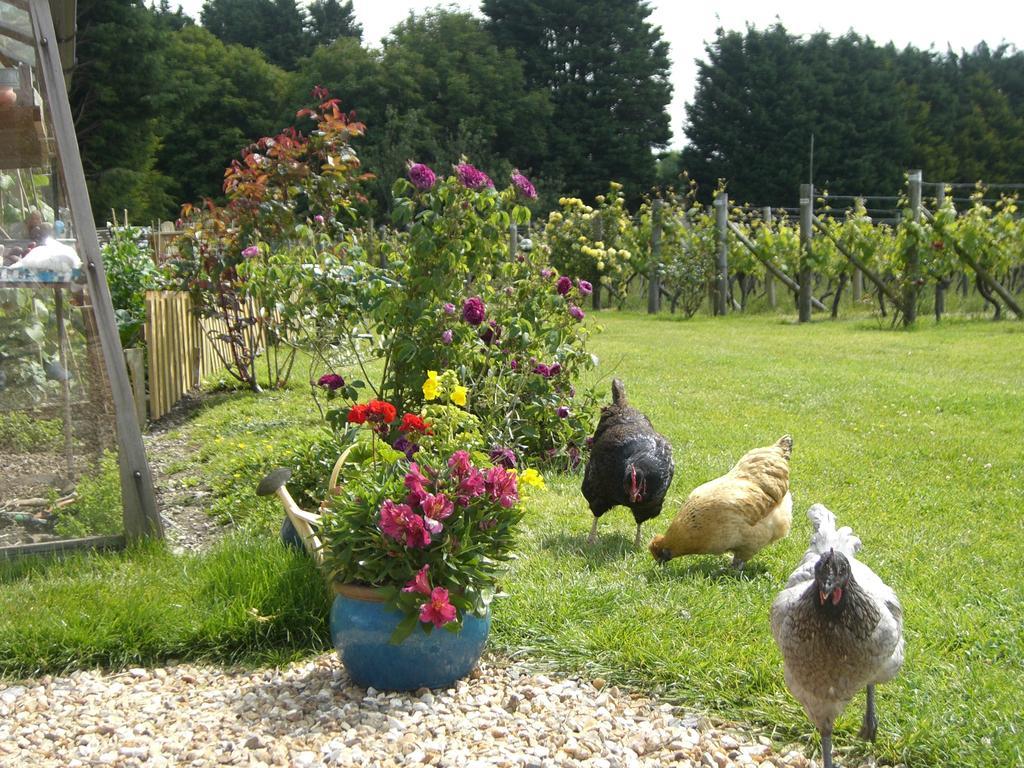 Glyndwr Vineyard Каубридж