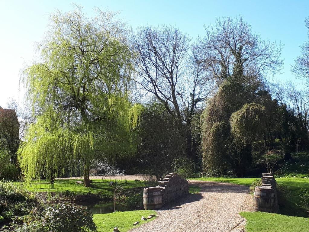 Glyndwr Vineyard 3* Каубридж